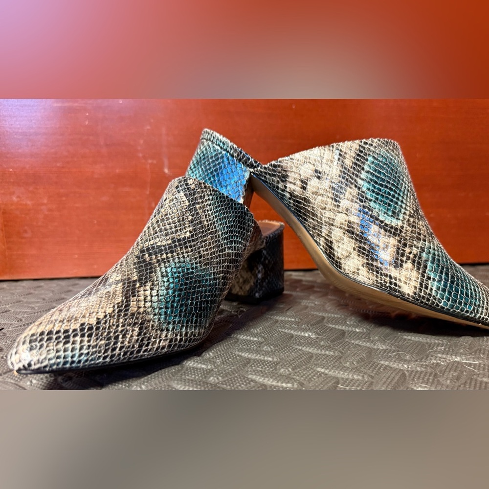 14th & Union Snakeskin Mules - Brown and Blue